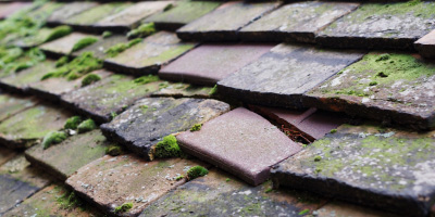 Downham roof repair costs